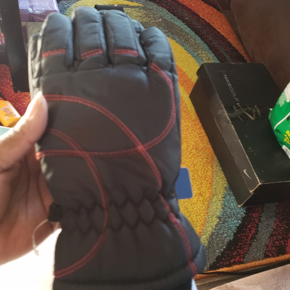 Insulated Waterproof Winter Gloves NWT